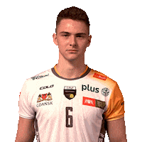 Home Team Sticker by trefl_gdansk