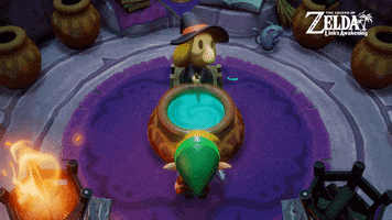 link nintendo zelda switch the legend of zelda GIF