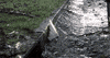 stephen king GIF by Maudit