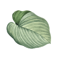 adlalita white green thanks aesthetic Sticker