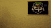 seeing double baseball GIF by Kane County Cougars