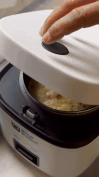 Frittata In A Rice Cooker | Rice Robot