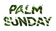 Turn Around Jesus Sticker by Dr. Donna Thomas Rodgers