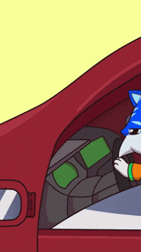 Cat Driving GIF by Toshithecat