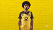 Borussia Dortmund No GIF by Bundesliga
