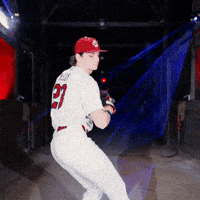 Home Run Celebration GIF by Gamecock Athletics