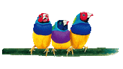 ViewSonicGlobal nature animal bird colorful Sticker