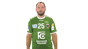 Handball-Bundesliga Berlin Sticker by LIQUI MOLY HBL