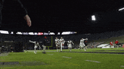 Celebration GIF by Rutgers Football