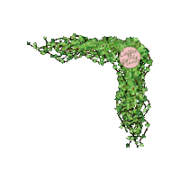 Plant Based Pink Sticker by Coffee and Plants