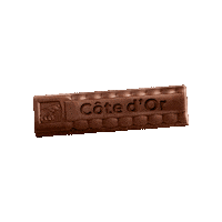 Chocolade Sticker by Cote d'Or