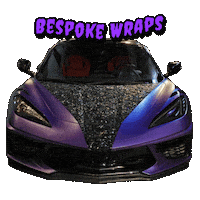 Fast Cars Car Sticker