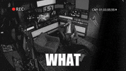 fox sports live what GIF