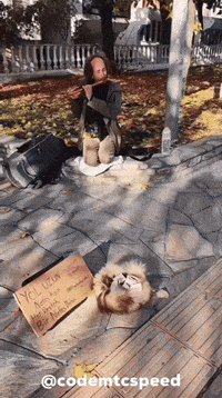 Codemtc GIF