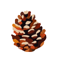 Christmas Pina Sticker