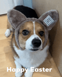 Dog Easter GIF
