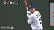 450314 GIF by MLB