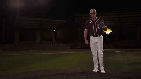 College Baseball GIF by Pearl River Athletics
