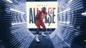 College Football GIF by gamecocksonline
