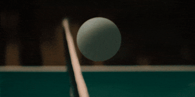 Dream Big Timothee Chalamet GIF by A24