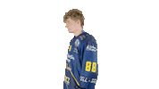 ekzellereisbaeren eishockey 88 alpshockeyleague zell am see Sticker