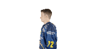 ekzellereisbaeren eishockey 72 alpshockeyleague zell am see Sticker