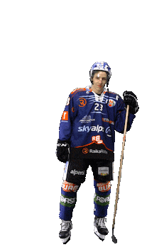 Ice Hockey Sport Sticker by Rittner Buam