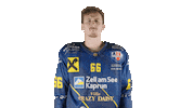 ekzellereisbaeren eishockey 66 alpshockeyleague zell am see Sticker