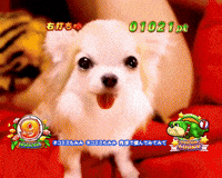 Wanwanparadise GIF
