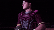 PRCCAthletics wildcats mississippi juco prcc GIF