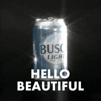 Busch Light GIF by Busch Beer