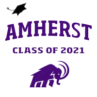 Graduation Class Of 2021 Sticker by Amherst College