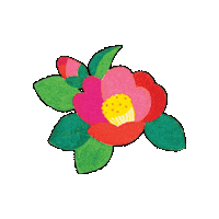 AIRBUSAN busan 부산 에어부산 airbusan Sticker