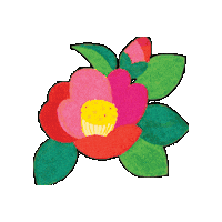 AIRBUSAN busan 부산 airbusan 에어부산 Sticker