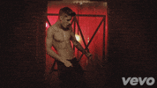justin bieber dancing GIF by Vevo