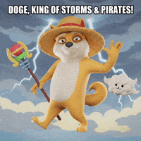 Waving One Piece GIF by Doge Pound