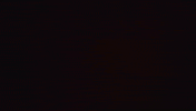 Nft Crypto GIF by SuperRareBears