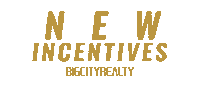 Big City Incentives Sticker by Big City Realty