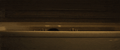 Movie Horror GIF by The Grudge