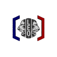 Leo Club Lions Sticker by Leo Club France