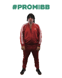 Promibb Promibigbrother Sticker by sat1