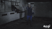 bear wtf GIF