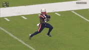 Football Nfl GIF by New England Patriots