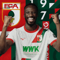 Football Celebration GIF by FC Augsburg 1907
