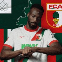 Football Bundesliga GIF by FC Augsburg 1907