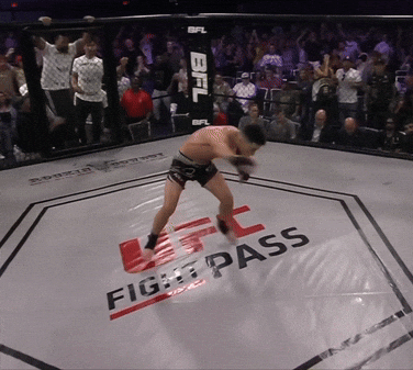 giphy.gif