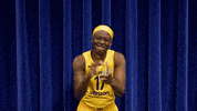 basketball sport GIF by Indiana Fever