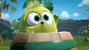 GIF by Angry Birds
