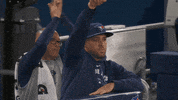 Major League Baseball Sport GIF by MLB