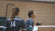 GIF by Jacksonville University